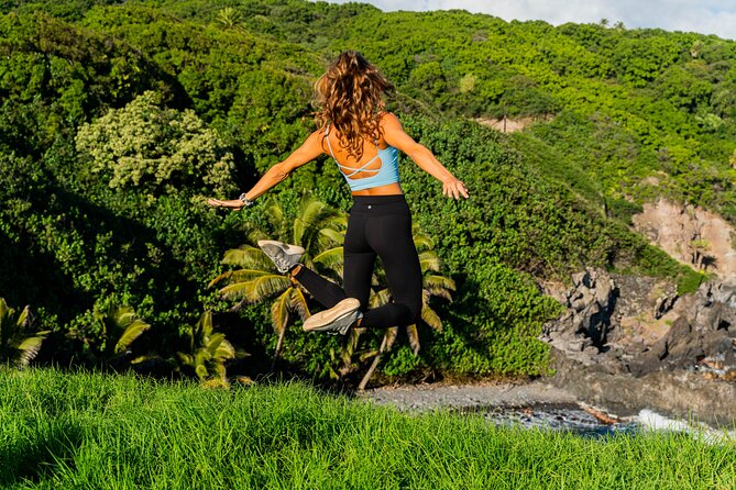 VIP Private Full-Day Road to Hana Tour from Lahaina-Kapalua - Key Things I’d Pay Attention To