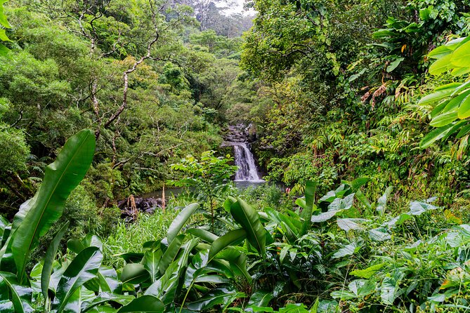 VIP Private Full-Day Road to Hana Tour from Lahaina-Kapalua - Comfort on the road: air-conditioning, snacks, and water-hiking shoes