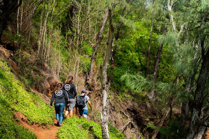 VIP Private Full-Day Road to Hana Tour from Lahaina-Kapalua - Paia, then Ho‘okipa: a Maui warm-up that still feels real