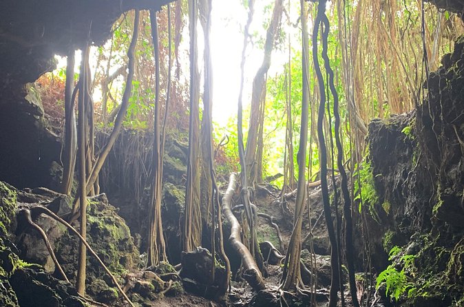 VIP Private Full-Day Road to Hana Tour from Lahaina-Kapalua - Waterfall time at Pua‘a Ka‘a State Park (bring a swimsuit if you’re game)