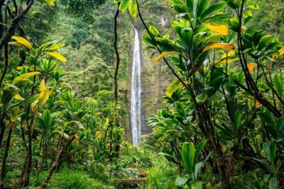 VIP Private Road to Hana and Haleakala Sunset Tour - From Kahului to Hookipa Beach Park: Surfers, Sea Turtles, and Winter Whales