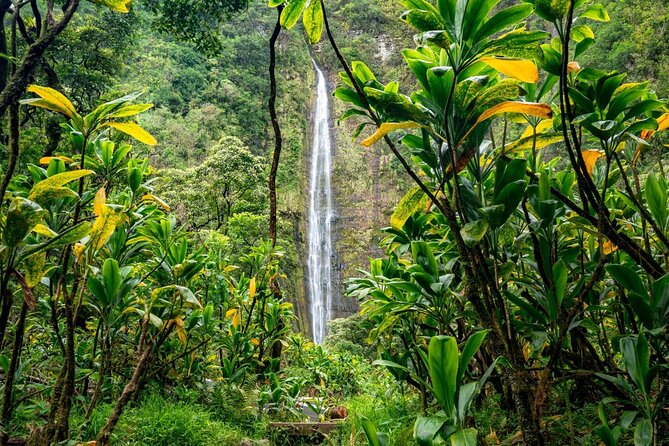 VIP Private Road to Hana and Haleakala Sunset Tour - From Kahului to Hookipa Beach Park: Surfers, Sea Turtles, and Winter Whales