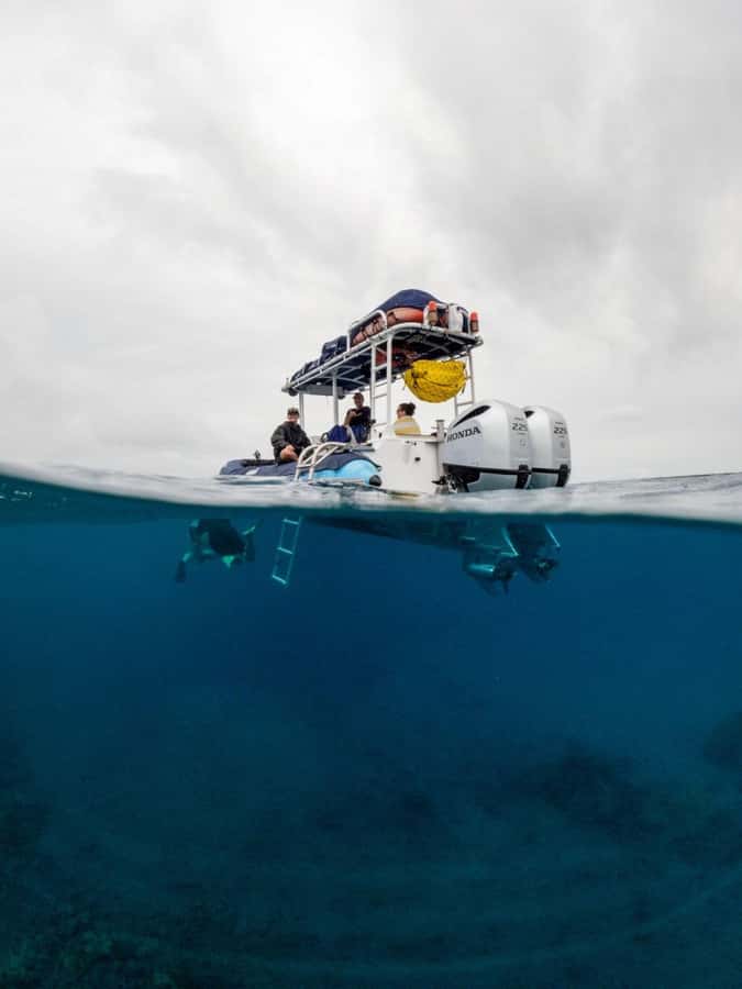 Wailea-Makina: Sea Caves, Molokini Snorkel & Turtle Town - Sea caves and the Kanaio Coast: why this part feels special