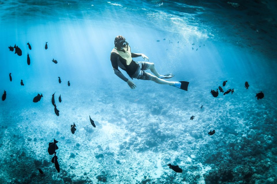 Wailea: Turtle Town Snorkeling Trip with Photo and Video - Who This Snorkeling Trip Is Best For