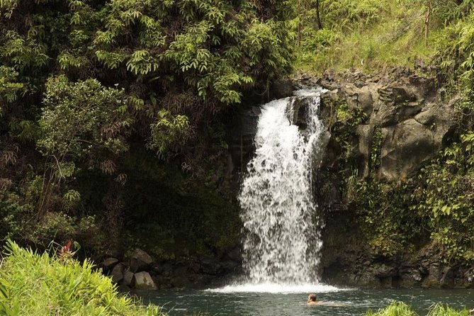 Waterfall and Rainforest Adventure - Key Things I’d Bet You’ll Care About