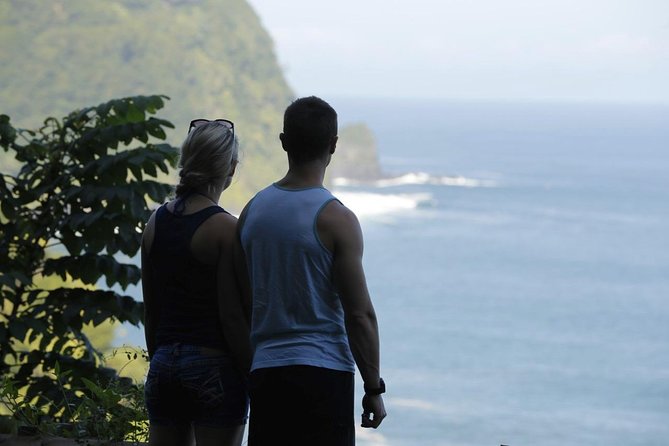 Waterfall and Rainforest Adventure - Ho‘okipa Beach Park: Turtles, Wind, and a True Maui Icon