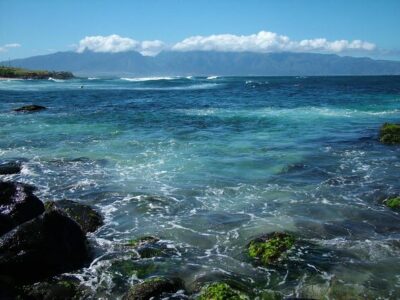 Waterfall and Rainforest Adventure - Hana Highway Rainforest: Your Main Event (But Expect Quick Stops)