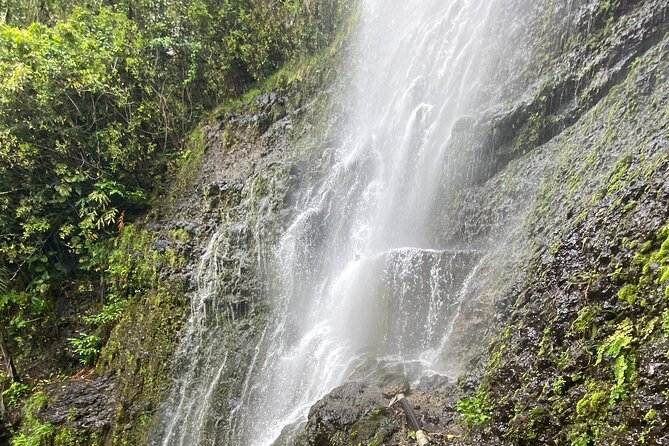 Waterfall and Rainforest Adventure - Ke‘anae Point: Taro Fields, Lava Coastline, and Auntie Sandy’s Banana Bread