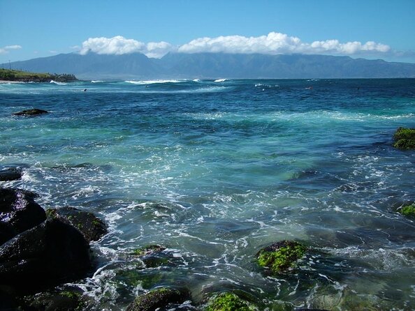 Waterfall and Rainforest Adventure - Hana Highway Rainforest: Your Main Event (But Expect Quick Stops)