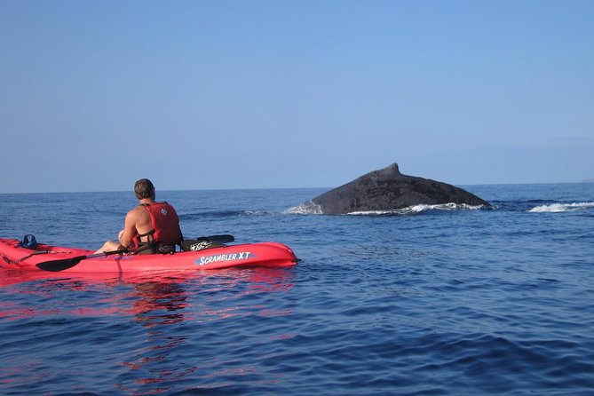 Waterfall Hike and Kayak Snorkel & Paddle from Makena - What You Get for $270.20: Value Breakdown Without the Guesswork