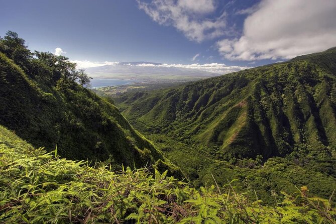 West Maui Adventure Tour with Private Guide - Key Highlights Worth Booking For
