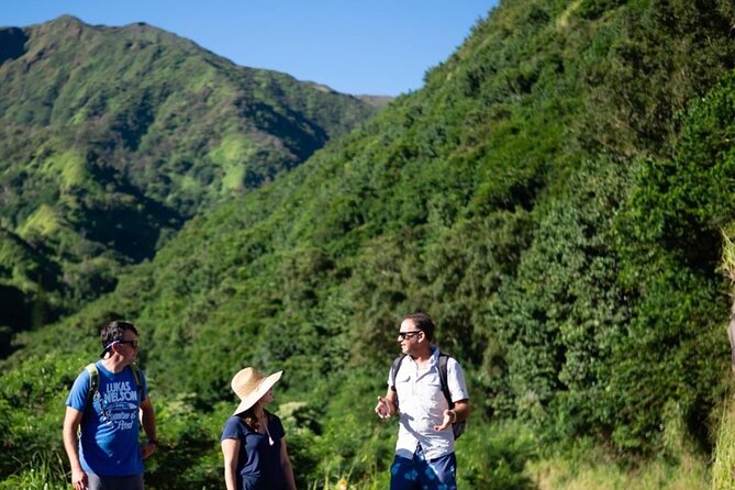 West Maui Adventure Tour with Private Guide - How Private West Maui Touring Works (and why it matters)