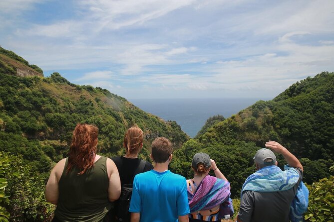 West Maui Adventure Tour with Private Guide - Advanced Hike Options: Makamakaole Falls and Waiheʻe Ridge Trail