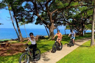 West Maui eBike Island Explorer Full-Day Rental - Starting in Lahaina at 30 Halawai Dr: get your plan solid fast