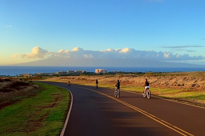 West Maui eBike Island Explorer Full-Day Rental - What this experience costs in time and energy (and who it fits best)