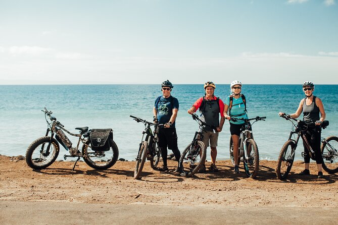 West Maui eBike Self-Guided Island Adventure Tour - Who this West Maui eBike ride is best for
