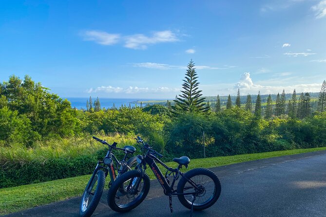 West Maui Electric Bike Rentals - Your 2 Hours on Wheels: The Coast-First Ride Flow
