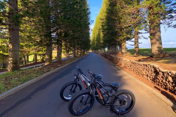 West Maui Electric Bike Rentals - Where You Start North of Lahaina (And What to Expect on Arrival)