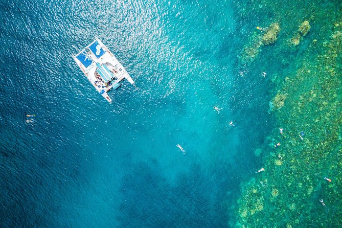 West Maui Half Day Snorkel from Ka’anapali Beach - A 4-Hour Ka’anapali Morning That Mixes Reef Time With Whale-Watching