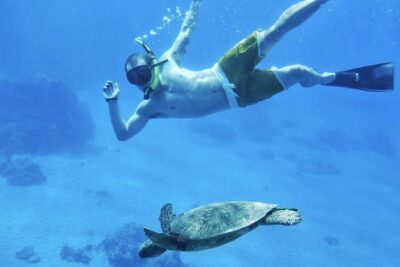 West Maui Half Day Snorkel from Ka’anapali Beach - Stop-by-Stop Flow: Breakfast, Water Time, Lunch, and Back to Ka’anapali