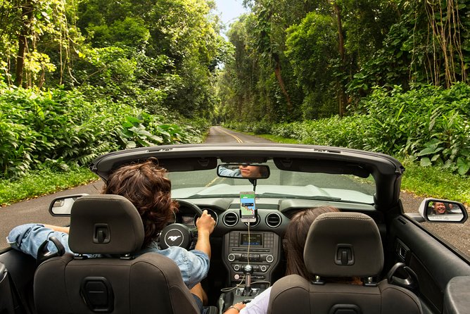 West Maui Self-Guided Audio Tour - Stop 4: Maui Ocean Center in Wailuku—Aquarium Time When You Want It