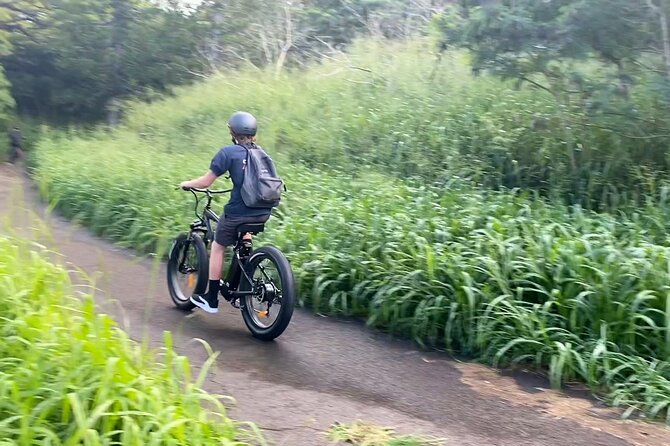 West Maui: Self-Guided E-Bike Kapalua Jungle Adventure Tour - Coastlines, Beaches, and Panoramic Views at Riding Speed