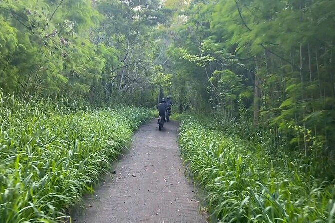 West Maui: Self-Guided E-Bike Kapalua Jungle Adventure Tour - Coffee Farms and Sand Dunes: When the Throttle Makes Stops Easier