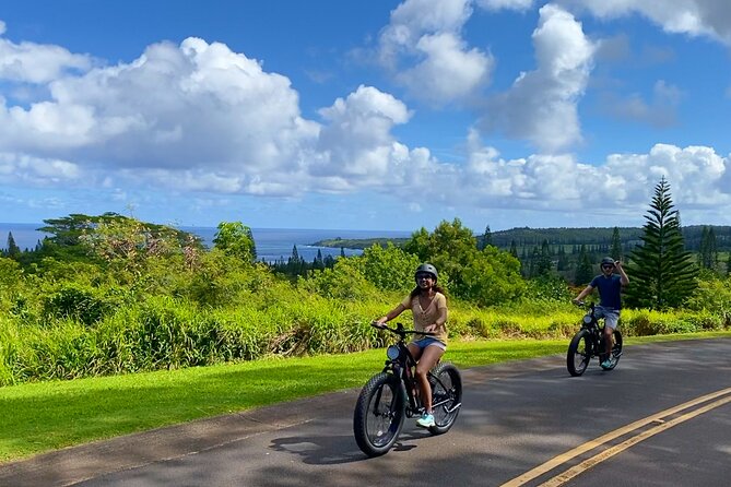 West Maui: Self-Guided E-Bike Kapalua Jungle Adventure Tour - Price vs. Value: Is $135 Worth Five Hours on E-Bikes?