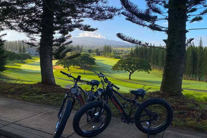 West Maui: Self-Guided E-Bike Kapalua Jungle Adventure Tour - Who Should Book This West Maui E-Bike Adventure