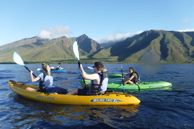 West Side Discovery Kayak & Snorkel Tour - Where the tour starts in West Maui: Ukumehame Beach Park