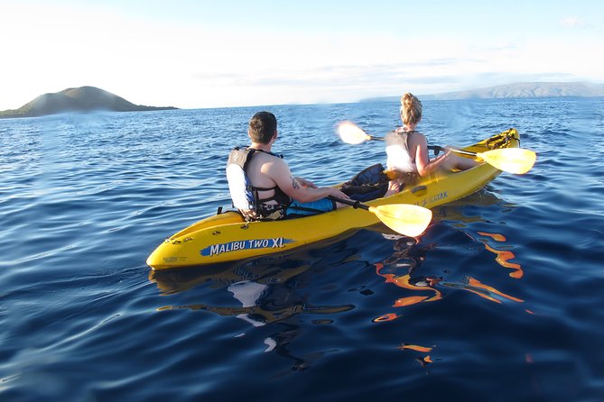 West Side Discovery Kayak & Snorkel Tour - Snorkeling around sand channels: what you’ll see underwater