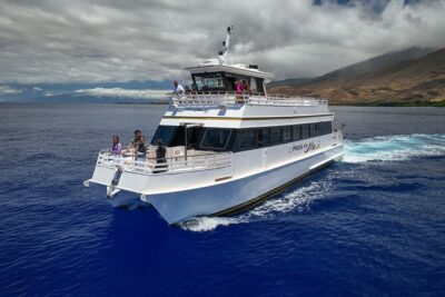 Whale Watch and Turtles Snorkel - Pride of Maui’s Maxi Catamaran: Why It Matters for Whale Watching