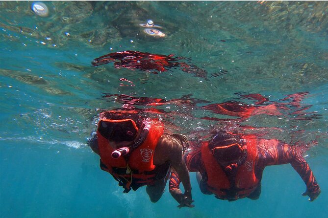 Whale Watch by Kayak-No Time Limit - Who should book this kayak-and-whale experience