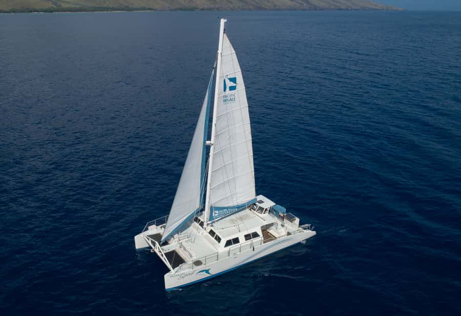 Whale Watch Sail Ma'alaea - Ocean Spirit, Maalaea, and the Ocean-Friendly Mission