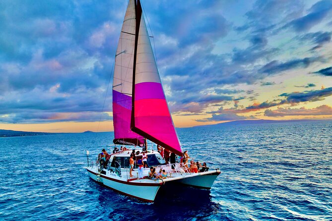 Whale Watching Tour on a Charming Hawaiian Catamaran From Maalaea - The hydrophone feature: why you’ll remember this trip longer